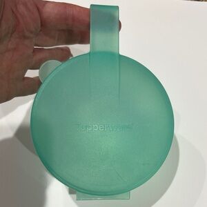 Tupperware Forget Me Not Large Hanging Onion Tomato Keeper Seafoam Green 4201